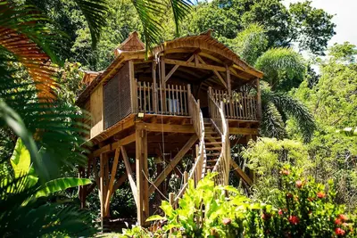 Image de cabane dans les arbres