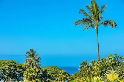 Image de Palms at Wailea 2206, Tropical Paradise Awaits! Top Floor with An Ocean View!
