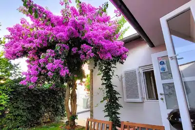 Image de Maison de vacances pour 4 personnes env. 70 qmà Premantura, Istrie (Istrische Riviera)