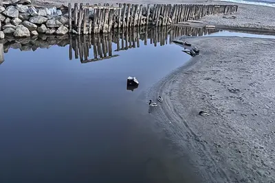 Image de Cozy Beach Cottage for 30 Day Rentals