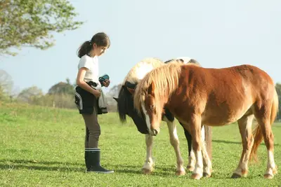 Image de Pleine nature et pleine quiétude, au coeur du Périgord. . .