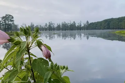 Image de Beautiful Lake House located just 19 minutes from Historic Downtown Natchitoches