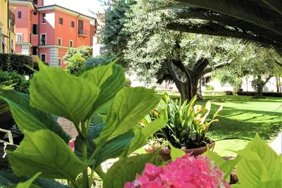 Image de Duchidi Castro Chic - Milvian Bridge