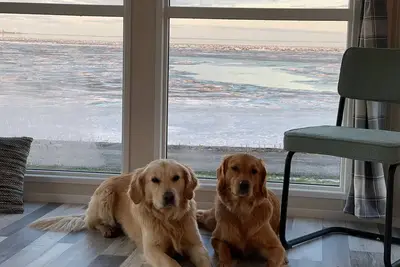 Image de Vacation home for 4 guests with 40m² in Westerland (169065)