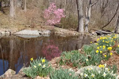 Walk to the ocean, very private. Secluded, woodsy location.