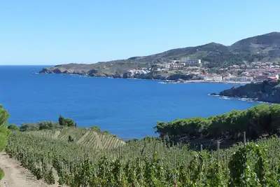 Image de Grand T2 climatisé, parking privé proche centre et plage