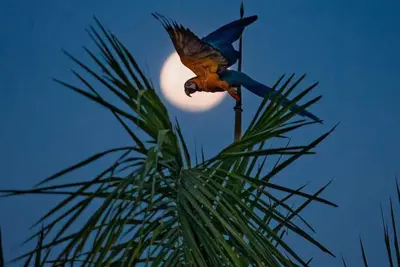 Image de Palma House San Juan