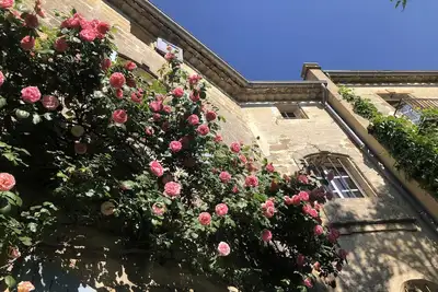 Image de A 3kms d'Uzès dans demeure 17e, bel appart 3 p avec jardin poétique