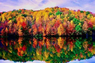 Image de Serene lakeside oasis - fast WiFi 1. 5 hrs from Nyc, fire-pit & nature all around