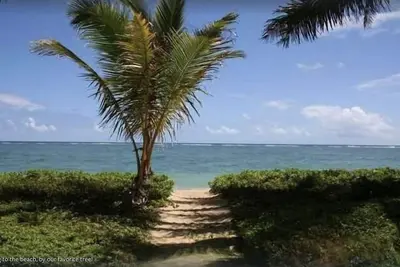 Image de Island Life Retreat-Ocean Front-Beach Access