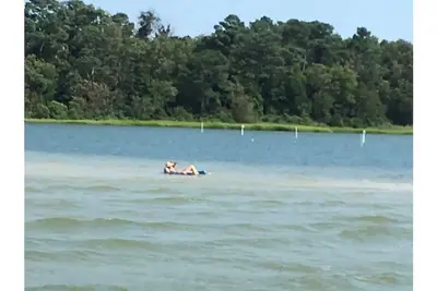 Image de Waterfront Rv Pad Site, Full Hookup 50 amps