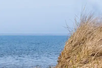 Image de Beach, Beach, Beach - Cabaneaux 1