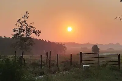 Image de Connect with Nature at this Peaceful home  near by multiple springs and trails.