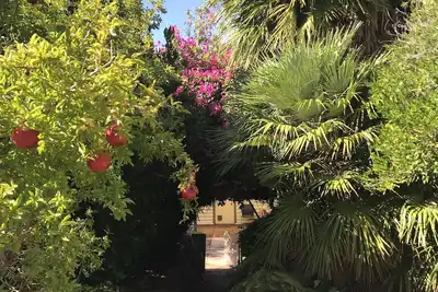 Image de Welcome to Shazza’s