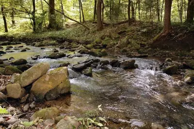 Brookside: Gorgeous Brookside Cabin Nestled next to Cosby and Gatlinburg Entrance.