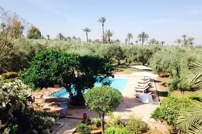 Image de Villa de luxe au coeur d’un domaine d’Oliviers