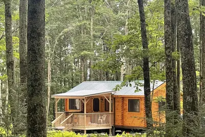 Image de Ricketts Glen Fern View Cabin