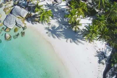 Image de Pavilions of Bedarra: Private Island and Beach in the Great Barrier Reef