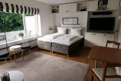 Newly renovated 1-room apartment in a quiet, central location!