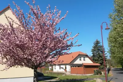 Image de Vacation apartment Störmthaler See