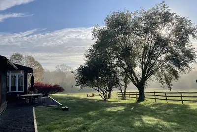 Image de Fickle Fox Farm. Daffodils are popping their heads up, summer is coming!