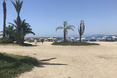 Image de In the heart of the city …. . at the foot of the beaches