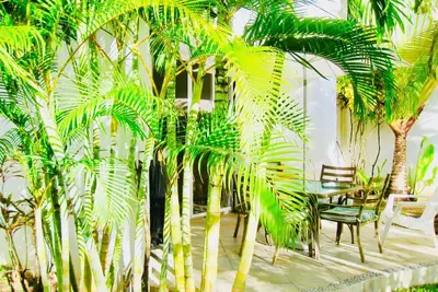 Image de Appartement de vacances Playa del Carmen pour 1 - 6 personnes avec 2 chambres à coucher - Maison mit