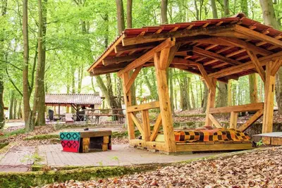 Image de Sleeping in the beech green in the fresh forest air