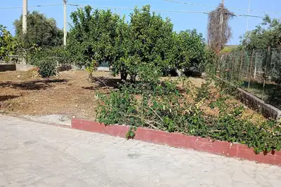 Image de Villa Rosa 1 - a few steps from the sea, half an hour from San VitoloCapo I Faraglioni