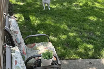 Image de Beautiful corporate housing 4 bed; full utilities; charming&quaint!