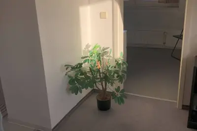 Home next to river