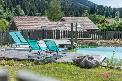 Image de Chalet cosy avec sauna, piscine bio, proche lac et ski à Gérardmer