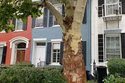 Beautiful S. Main St. Historic Row House