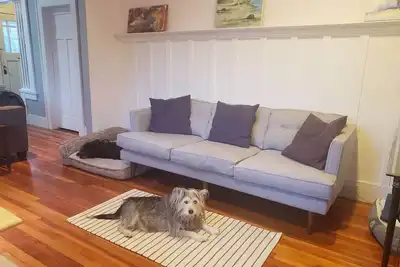 Image de Sunlit Craftsman Home | Steps to Cafes