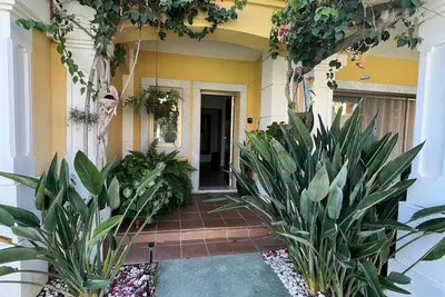 Image de The Birds Of Paradise