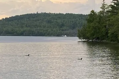 Image de Lakefront cottage with privacy and charm!