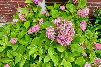 Beautiful Waterfront 1-bedroom in Cobble Hill
