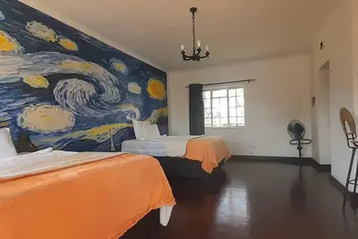 Image de Zebras Dazzle B&B | Van Gogh twin-room
