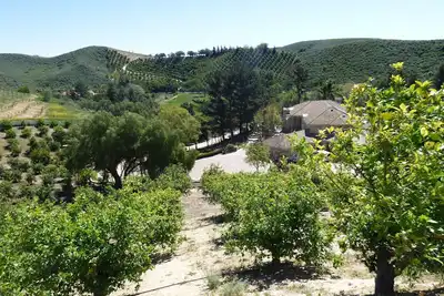 Image de Cute Cottage in Organic Lemon/Avocado Orchard - Southern California Farm Stay