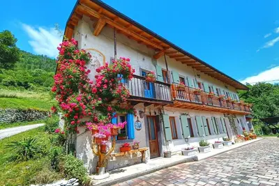 Image de House in Nature - The Awakening of the Elves