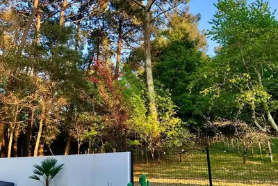 Image de Charmante Villa