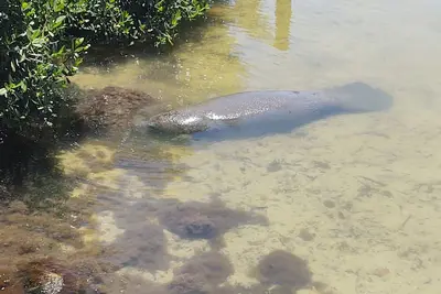 Image de Great location. Ten minutes from  Beach. Peaceful retreat!