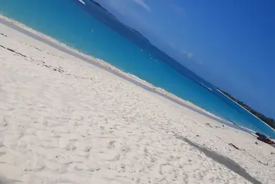 Image de The Swimming Pig Nassau Exuma