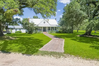 Image de Watson Wonderland