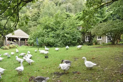 Image de 2 chambres à coucher à Crowborough