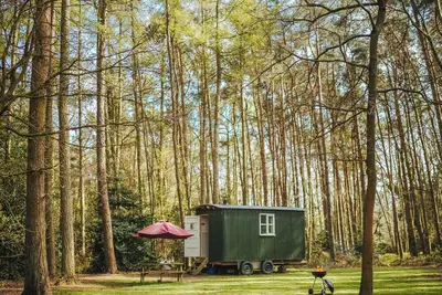 Image de Honeysuckle Hut-Qu7066