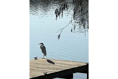 Image de Kingwood Cove Cottage - 10 mins from Iah - Water Front