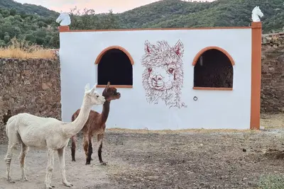 Image de Maison de campagne \"Découvrez les alpagas en Andalousie\" avec vue sur les montagnes.