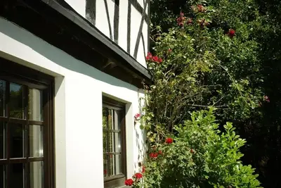 Image de Ferienhaus Mühlenglück am Holzbach - Ferienhaus, 3 Schlafräume, Dusche Oder Bad, Wc,