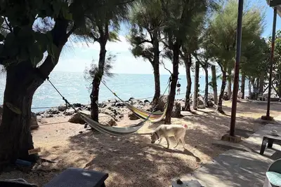 Image de The Place at the Sea